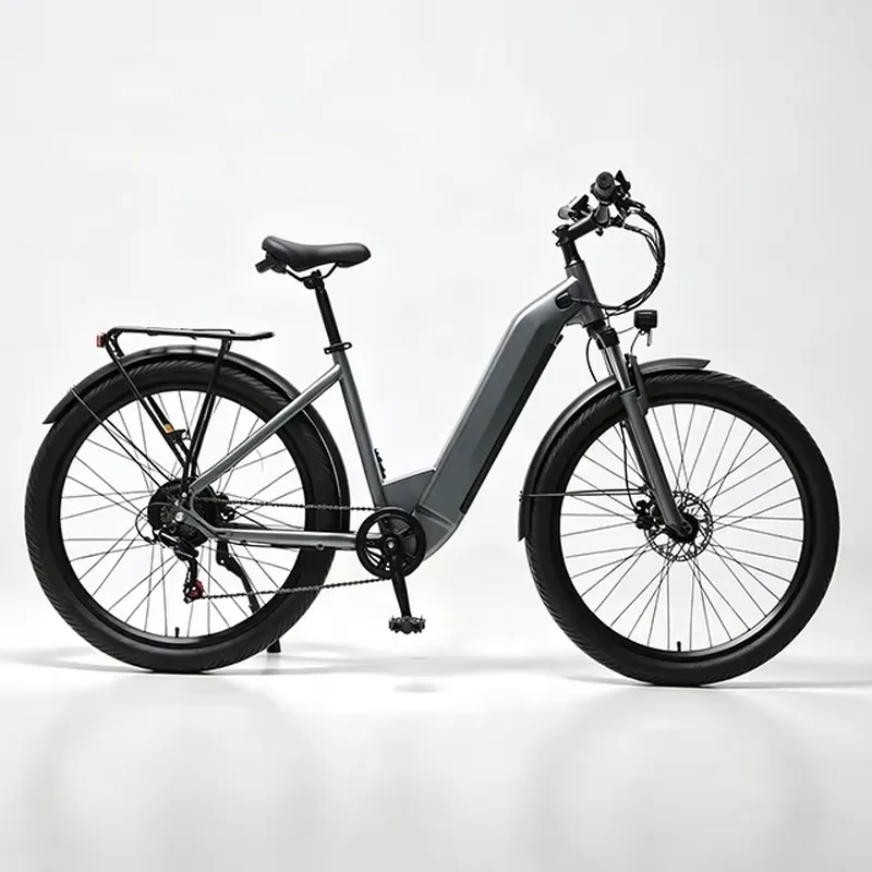 7 Speed 36V 250W Electric Bicy - đánh giá và giá Cycling Commute Speed
